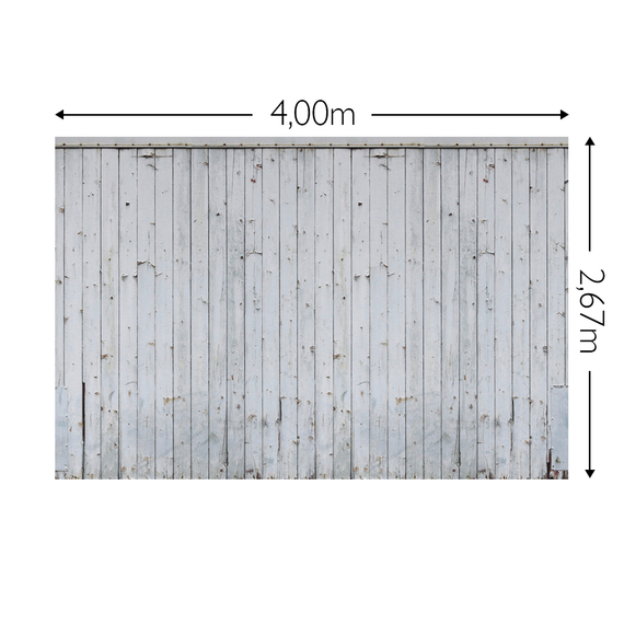 Wandbild Schnappschuss 200 gr. Vlies Maß: 4,00m breit x 2,67m hoch