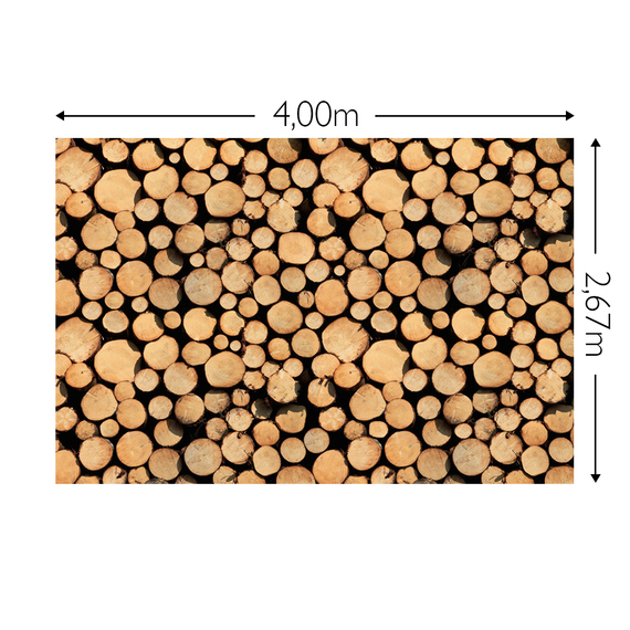 Wandbild Schnappschuss Strukturvlies Maß: 4,00m breit x 2,67m hoch