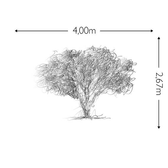 Wandbild Schnappschuss 200 gr. Vlies Maß: 4,00m breit x 2,67m hoch