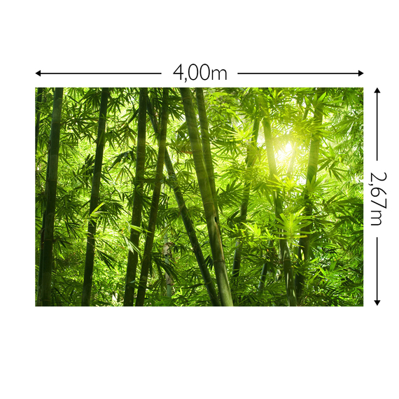 Wandbild Schnappschuss 200 gr. Vlies Maß: 4,00m breit x 2,67m hoch